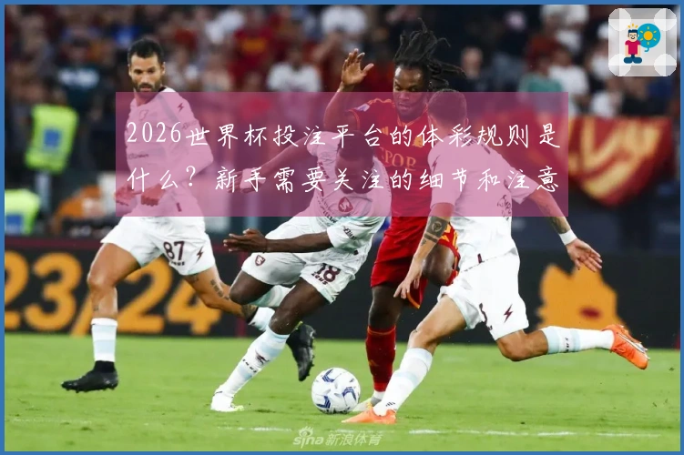 2026世界杯投注平台的体彩规则是什么?新手需要关注的细节和注意事项