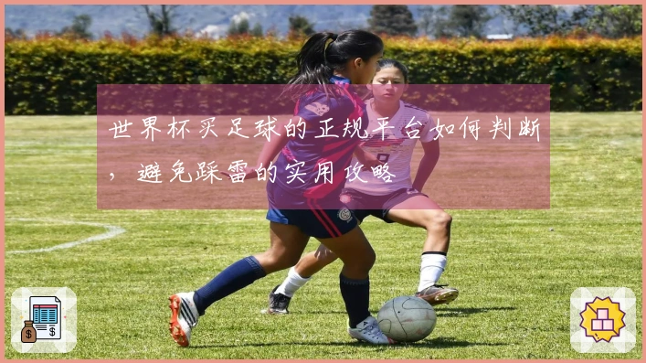世界杯买足球的正规平台如何判断,避免踩雷的实用攻略