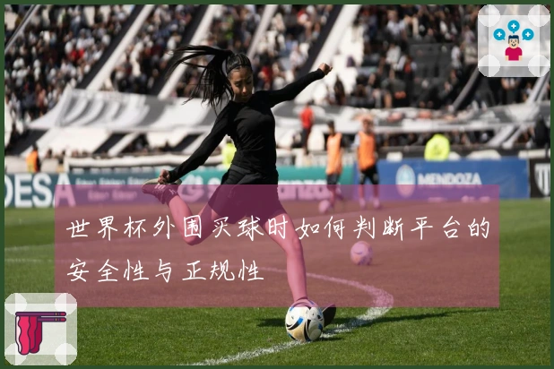 世界杯外围买球时如何判断平台的安全性与正规性