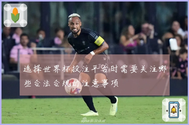 选择世界杯投注平台时需要关注哪些合法合规的注意事项