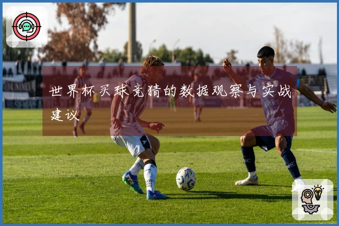 世界杯买球竞猜的数据观察与实战建议