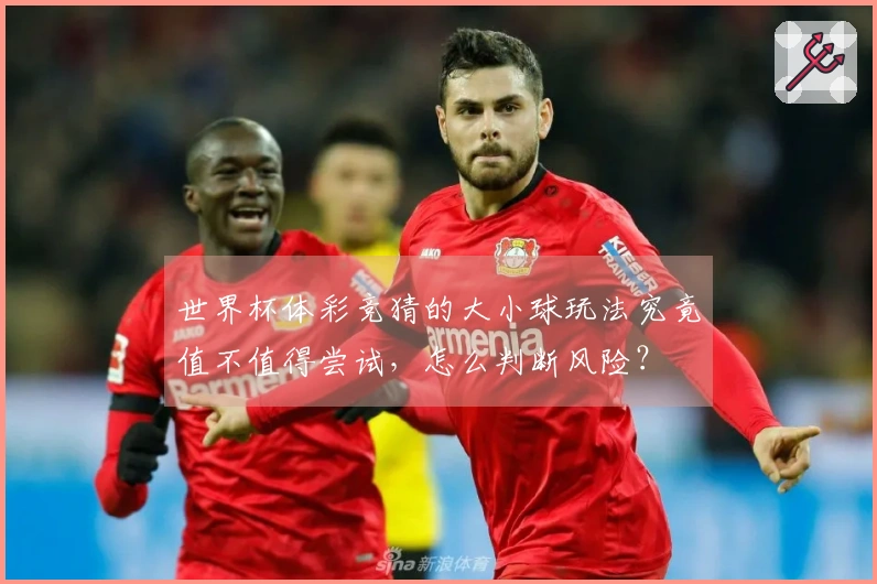 世界杯体彩竞猜的大小球玩法究竟值不值得尝试，怎么判断风险？