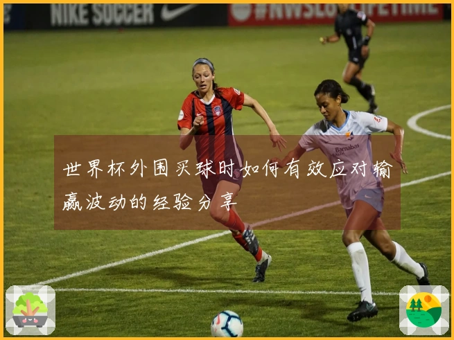 世界杯外围买球时如何有效应对输赢波动的经验分享