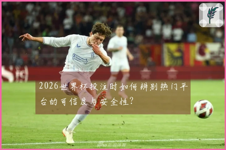 2026世界杯投注时如何辨别热门平台的可信度与安全性？