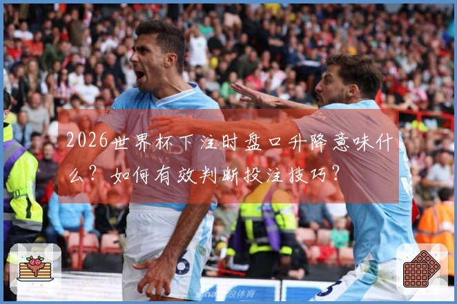 2026世界杯下注时盘口升降意味什么?如何有效判断投注技巧?