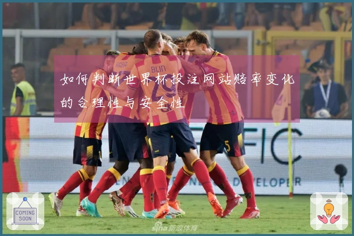 如何判断世界杯投注网站赔率变化的合理性与安全性