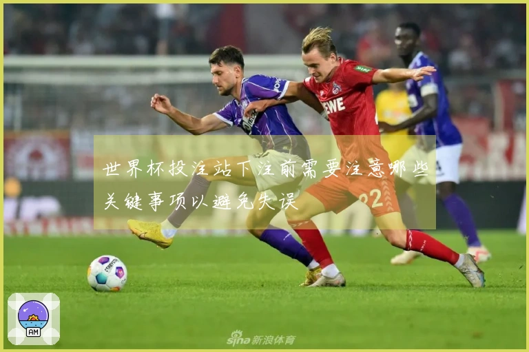 世界杯投注站下注前需要注意哪些关键事项以避免失误