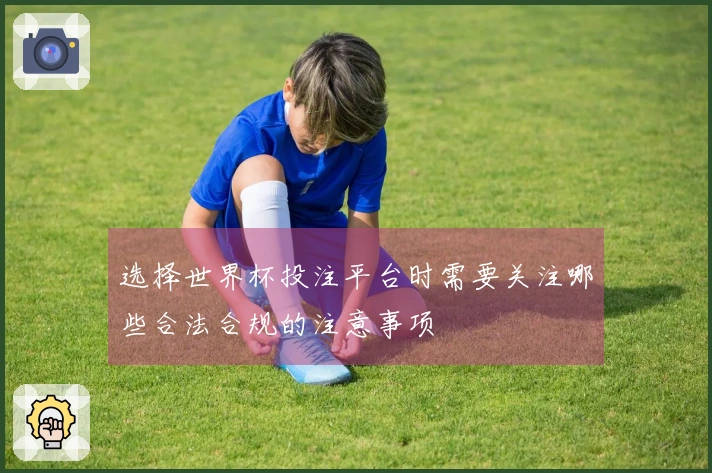 选择世界杯投注平台时需要关注哪些合法合规的注意事项