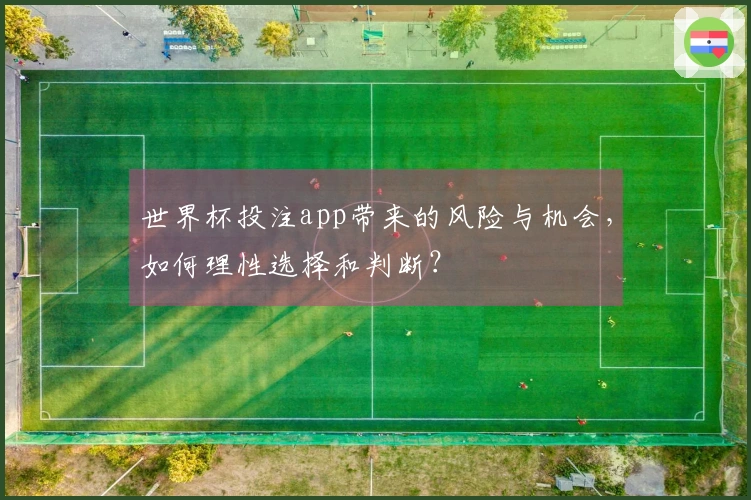 世界杯投注app带来的风险与机会，如何理性选择和判断？