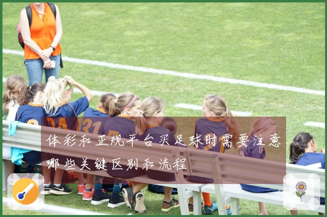 体彩和正规平台买足球时需要注意哪些关键区别和流程
