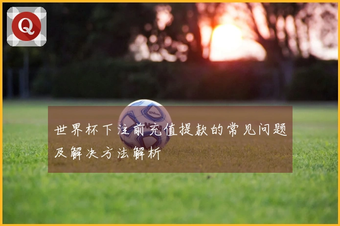 世界杯下注前充值提款的常见问题及解决方法解析
