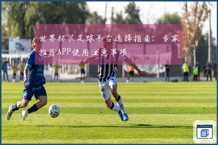 世界杯买足球平台选择指南:专家推荐APP使用注意事项