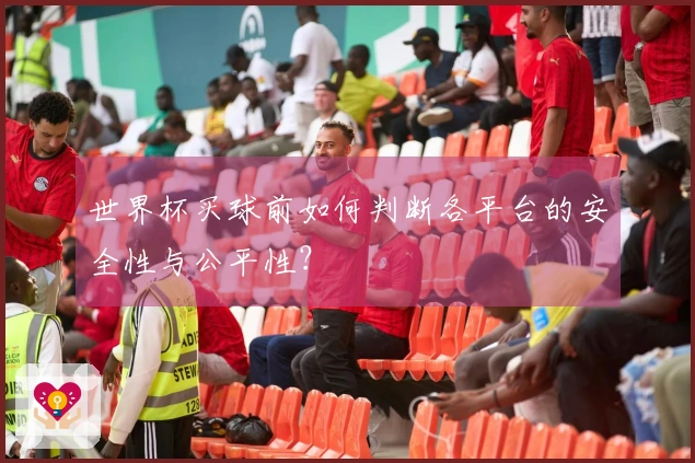 世界杯买球前如何判断各平台的安全性与公平性？