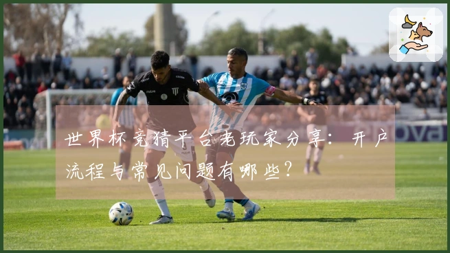 世界杯竞猜平台老玩家分享：开户流程与常见问题有哪些？