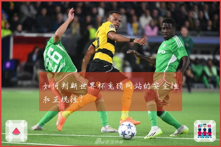 如何判断世界杯竞猜网站的安全性和正规性？
