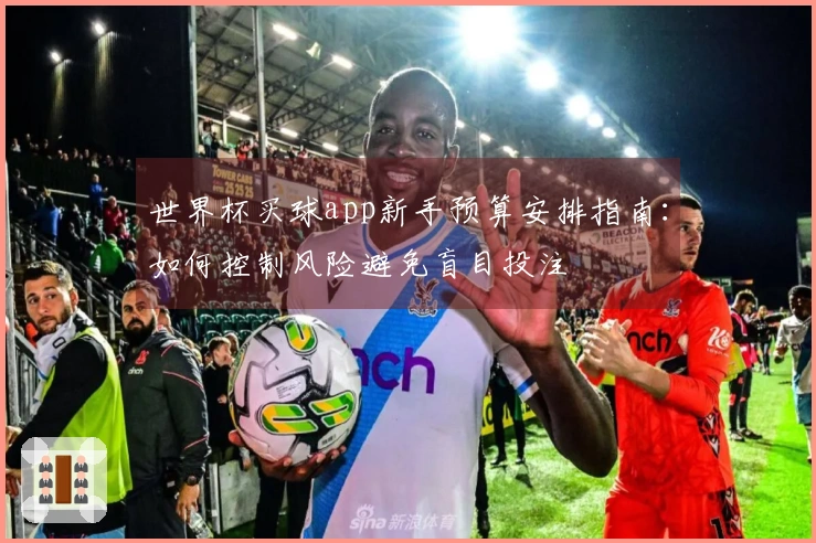 世界杯买球app新手预算安排指南:如何控制风险避免盲目投注