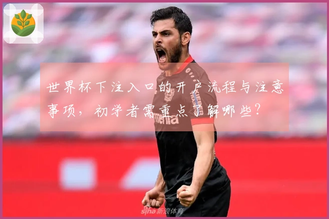 世界杯下注入口的开户流程与注意事项，初学者需重点了解哪些？
