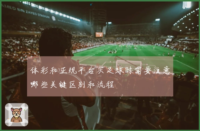 体彩和正规平台买足球时需要注意哪些关键区别和流程