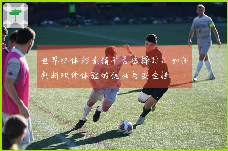 世界杯体彩竞猜平台选择时，如何判断软件体验的优劣与安全性