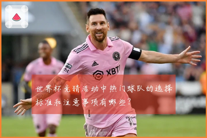 世界杯竞猜活动中热门球队的选择标准和注意事项有哪些？