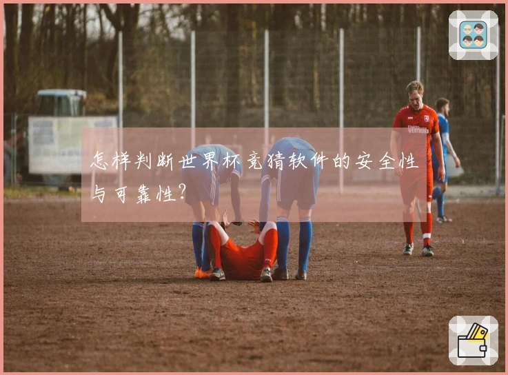 怎样判断世界杯竞猜软件的安全性与可靠性？