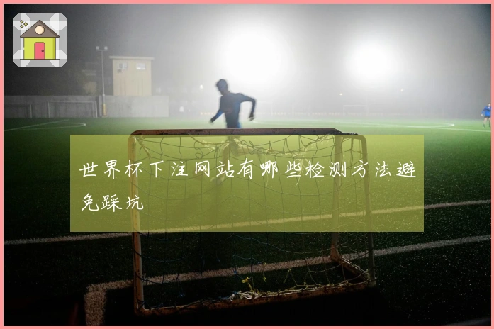 世界杯下注网站有哪些检测方法避免踩坑