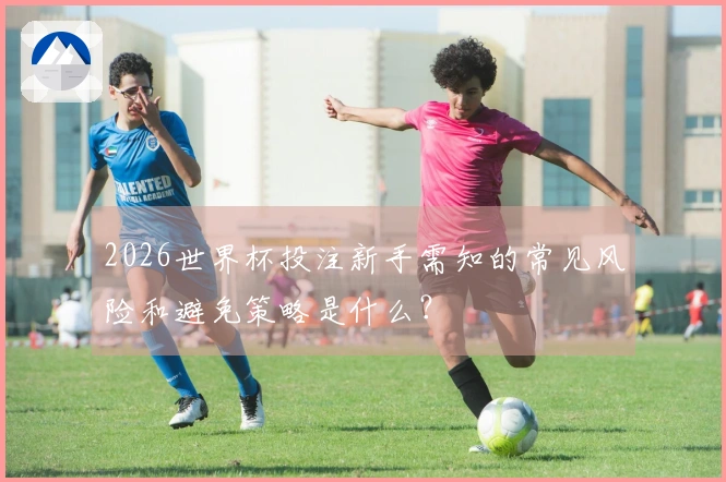 2026世界杯投注新手需知的常见风险和避免策略是什么？