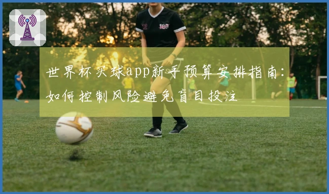 世界杯买球app新手预算安排指南：如何控制风险避免盲目投注